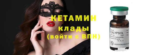мдпв Гусев