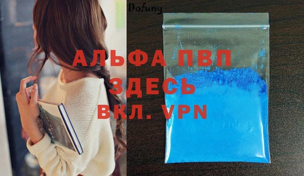мдпв Гусев