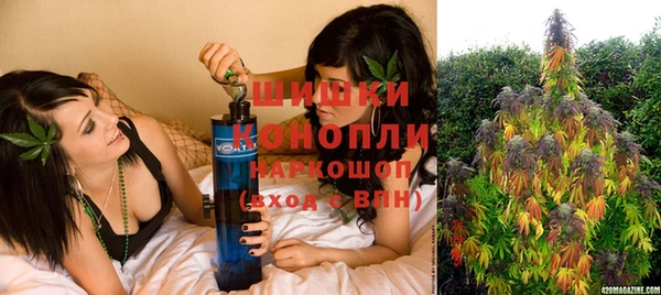 мдпв Гусев