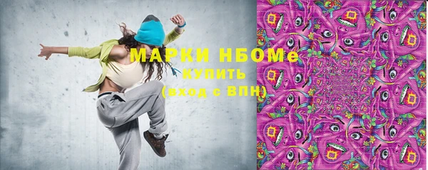 мдпв Гусев