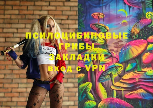мдпв Гусев