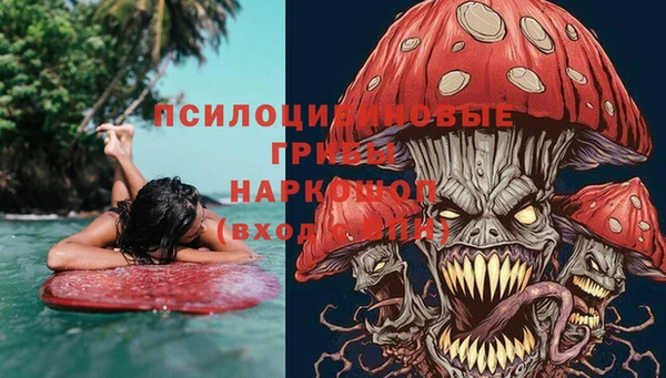 мдпв Гусев
