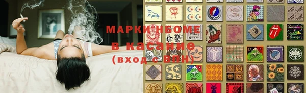 мдпв Гусев