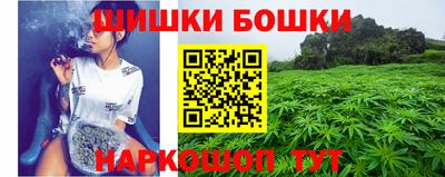 индика Обь
