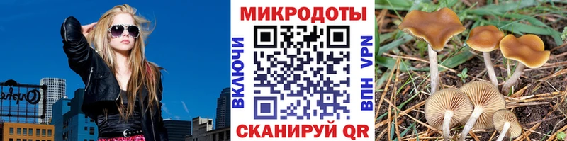 Псилоцибиновые грибы GOLDEN TEACHER  как найти   Прокопьевск 