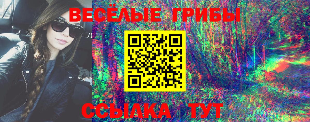 Галлюциногенные грибы Cubensis  Вход с VPN  Прокопьевск 